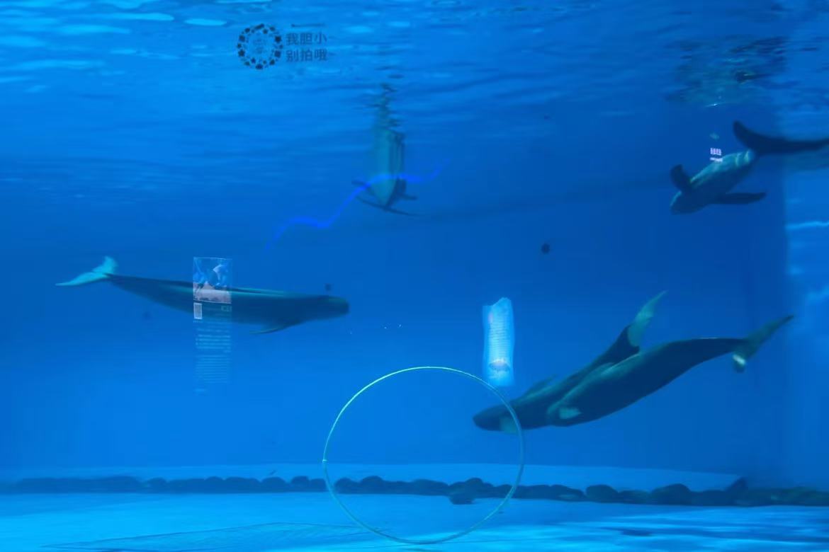 Quancheng Polar Ocean World